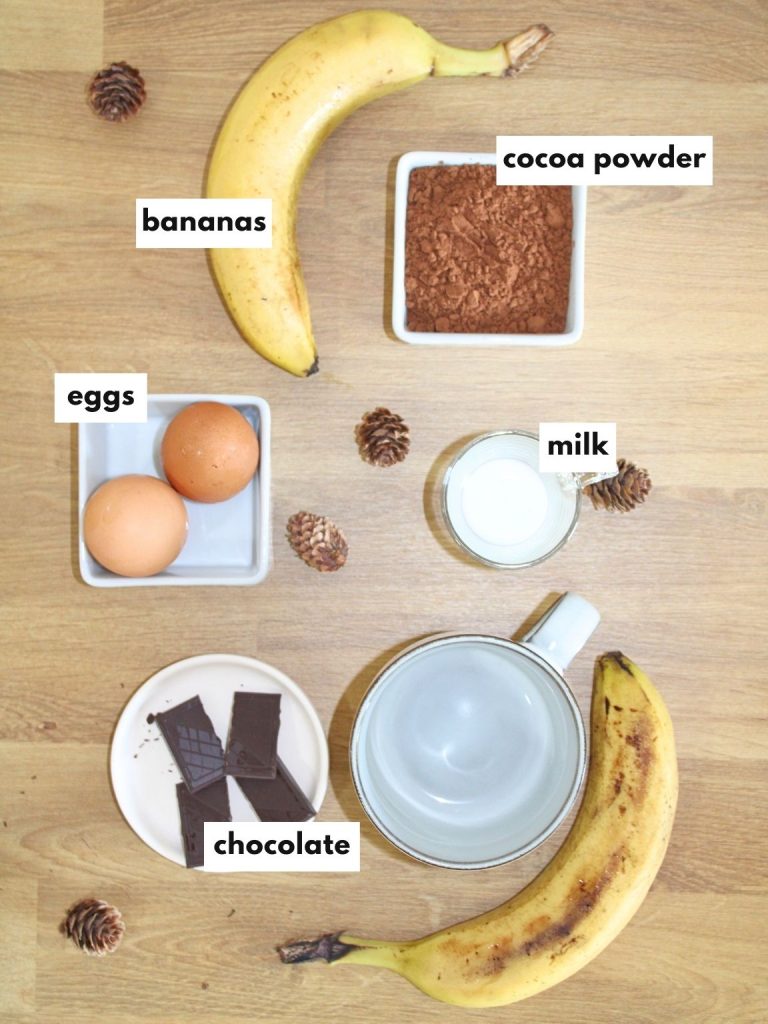 Flourless Banana Chocolate Mug Cake