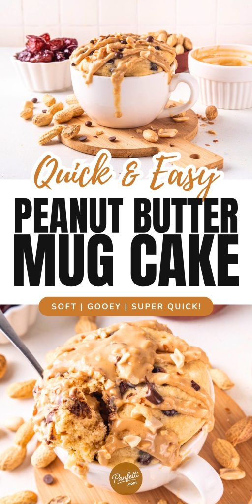 Peanut Butter Chocolate Chip Mug Cake Recipe