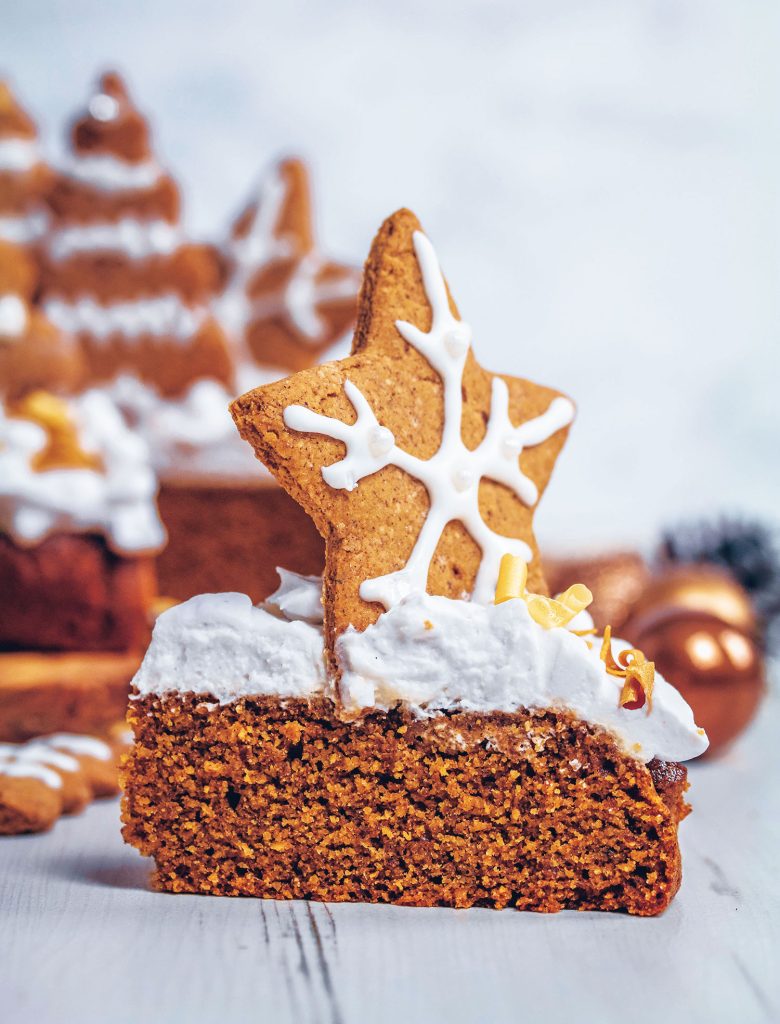 Gluten-Free Christmas Gingerbread Cake