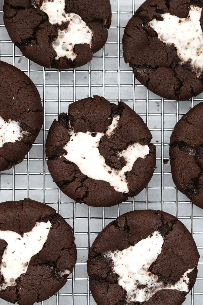 Gluten-Free Hot Chocolate Cookies