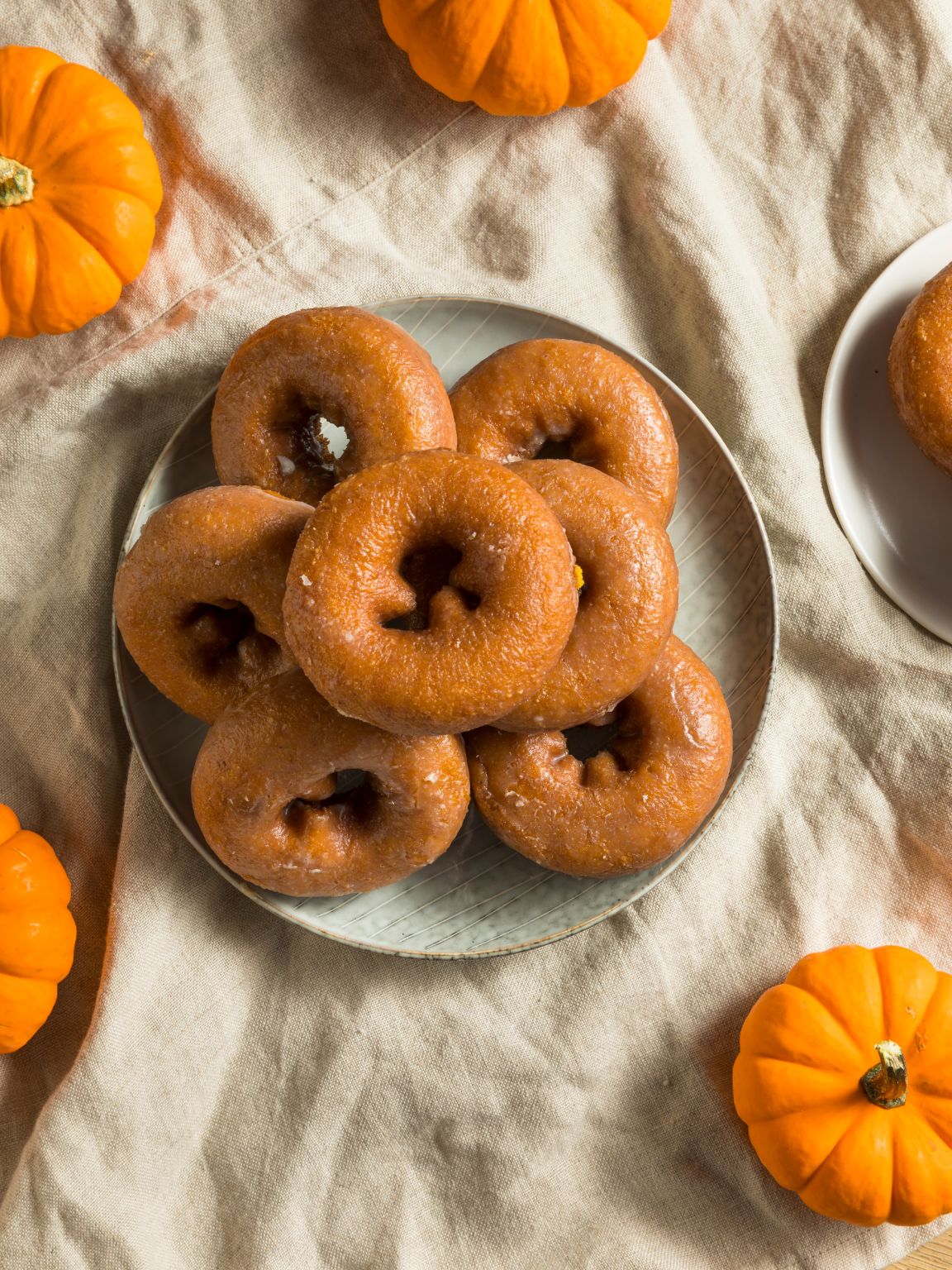 Homemade Pumpkin Donuts