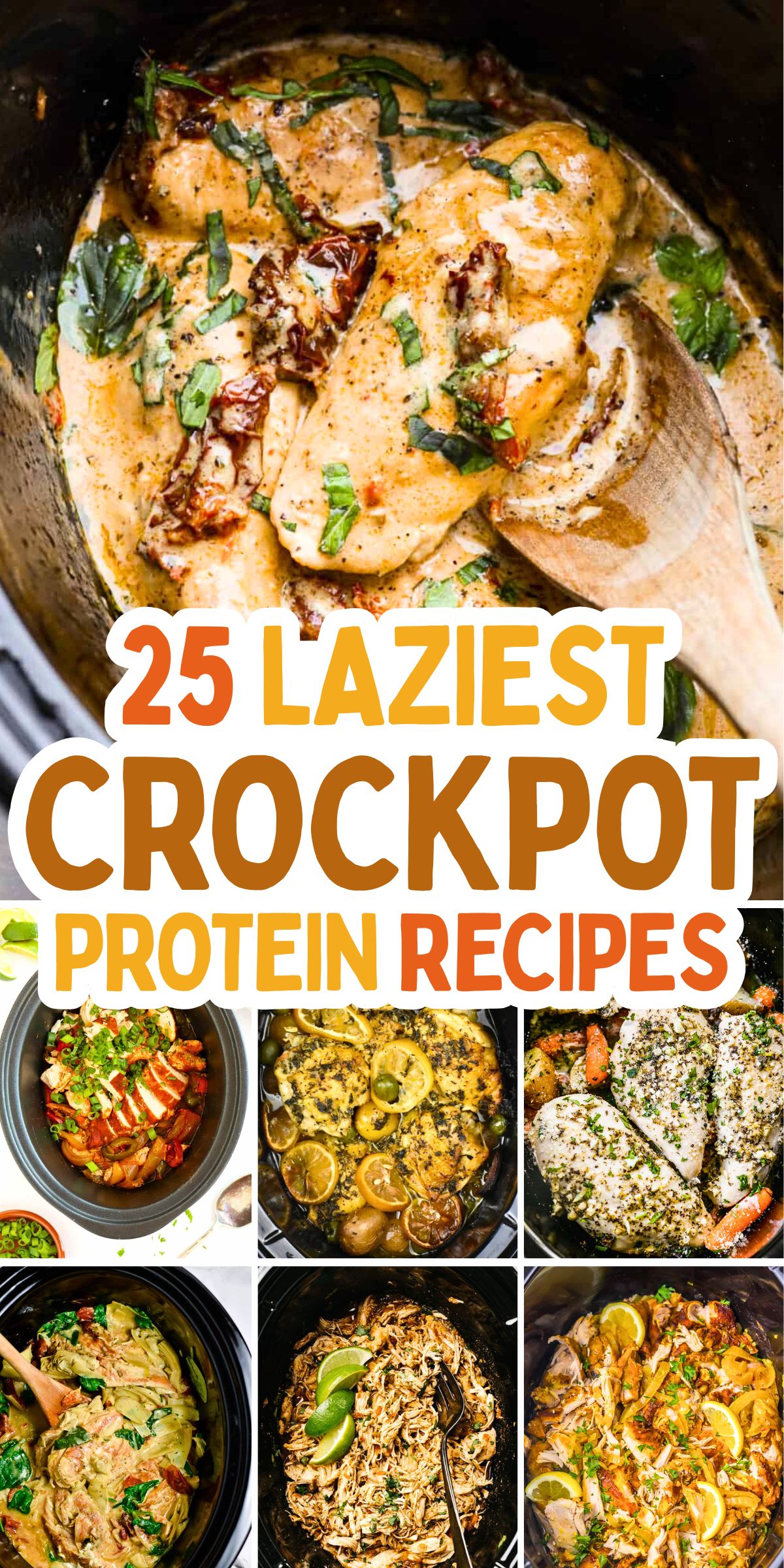 Lazy Girl High Protein Crockpot Recipes
