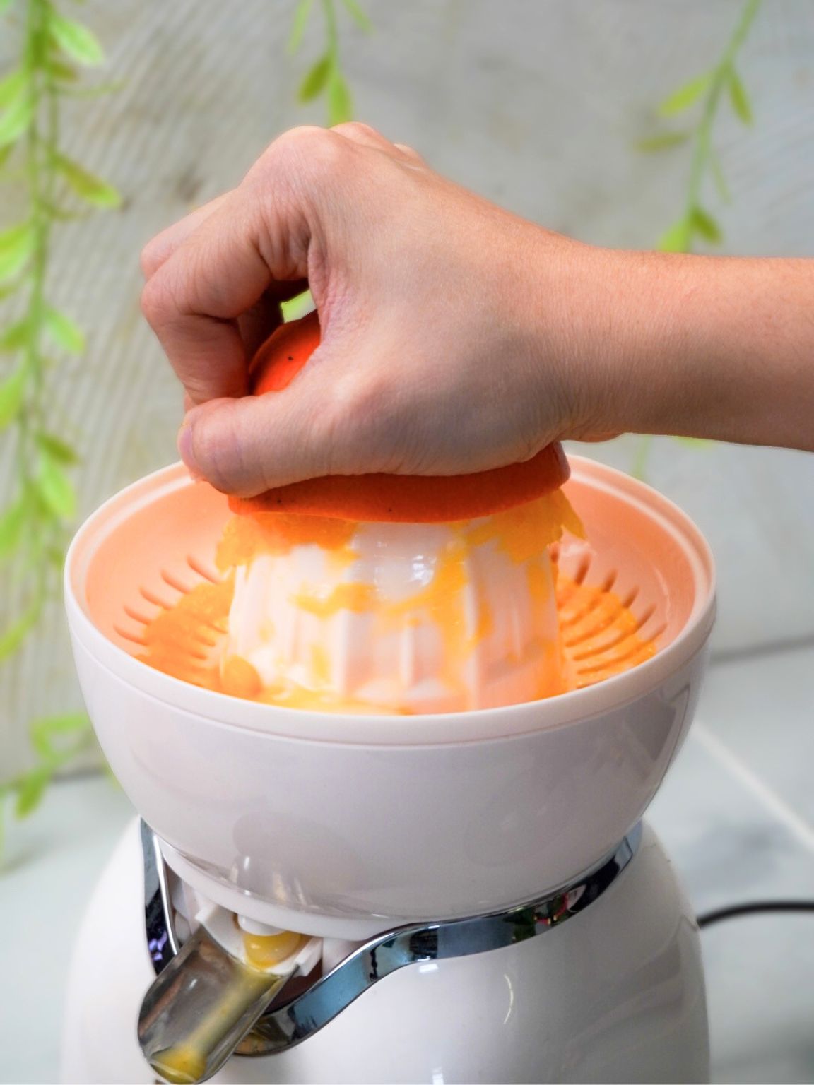 Creamy Orange Posset Without Gelatin - Steps (2)
