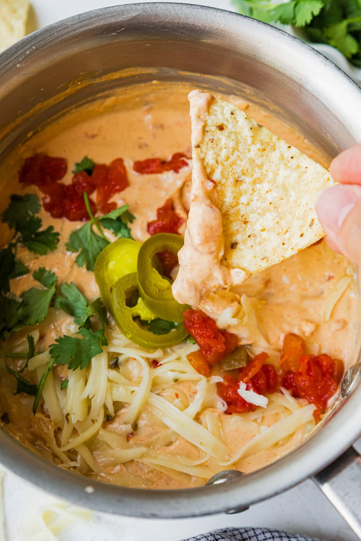 Cottage Cheese Queso