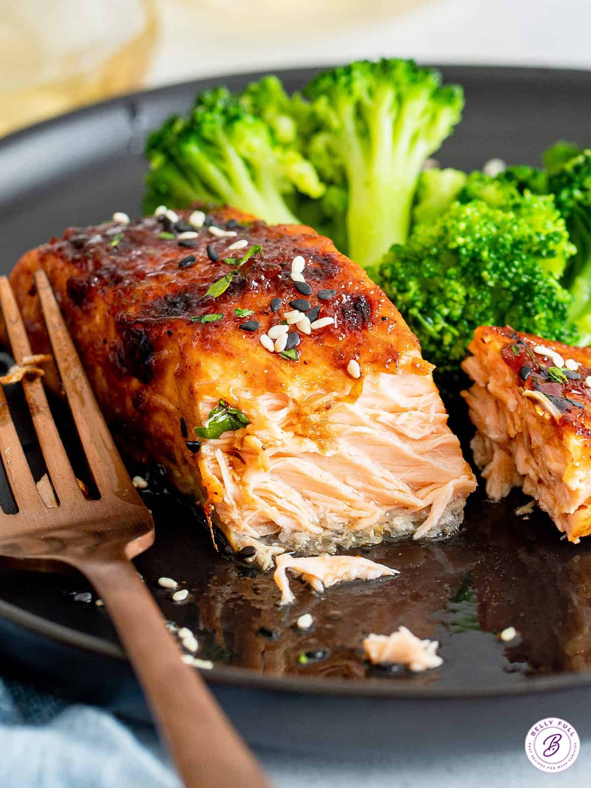 Hoisin Air Fryer Salmon