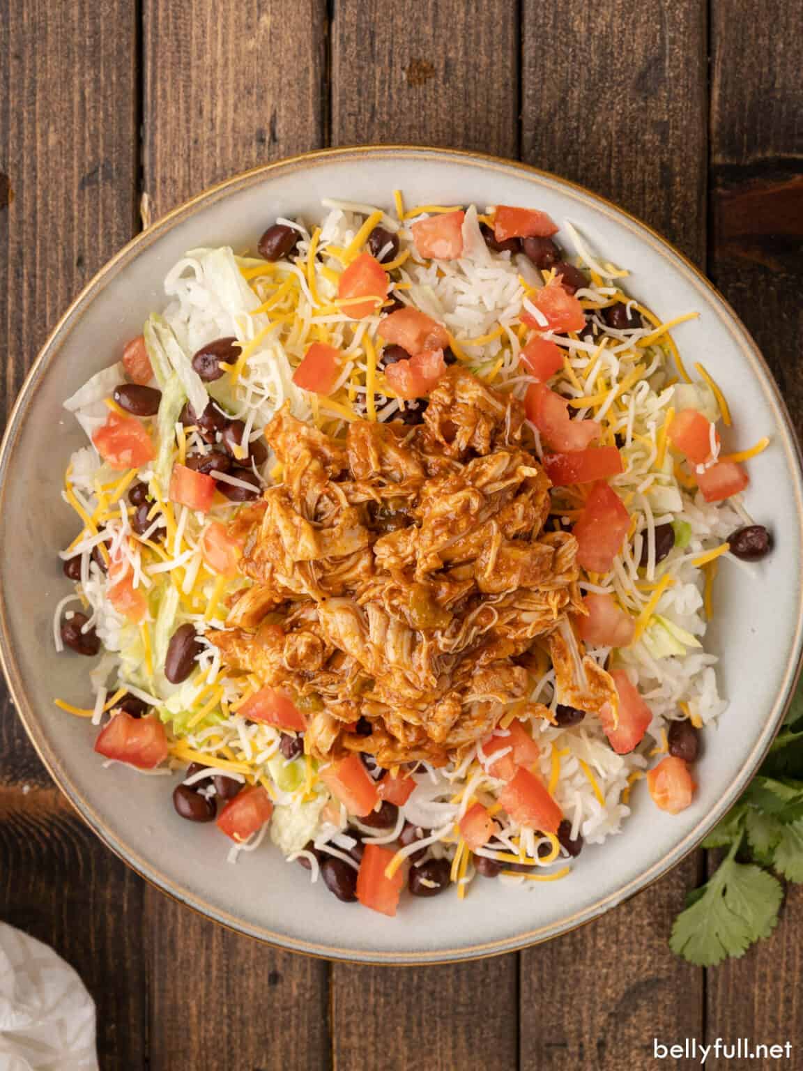 Slow Cooker Queso Chicken