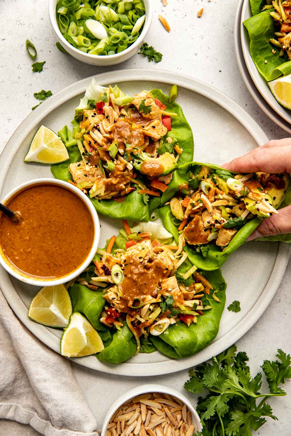 Asian-Inspired Chicken Salad
