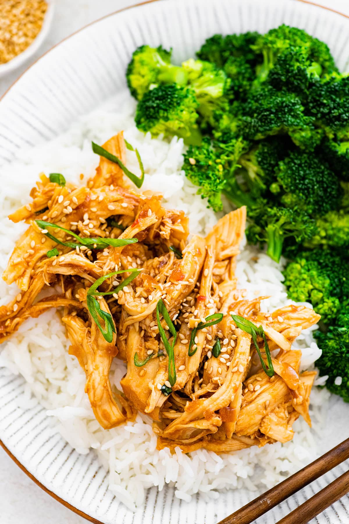 Slow Cooker Teriyaki Chicken