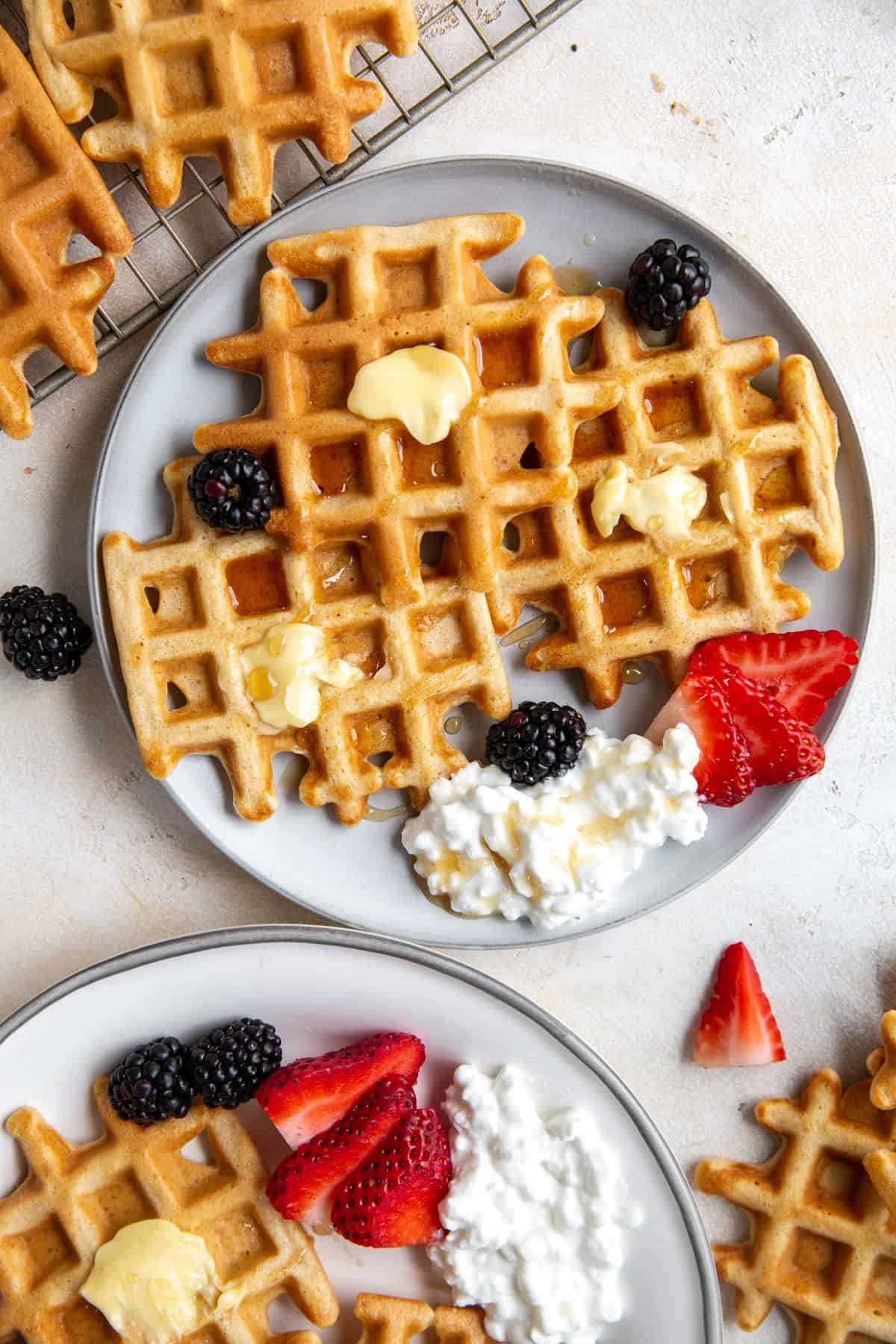 Cottage Cheese Waffles