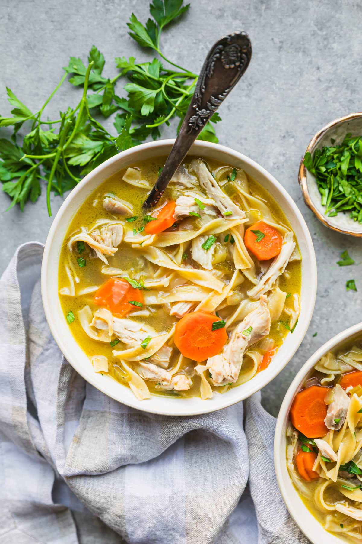 Chicken Noodle Soup Recipe