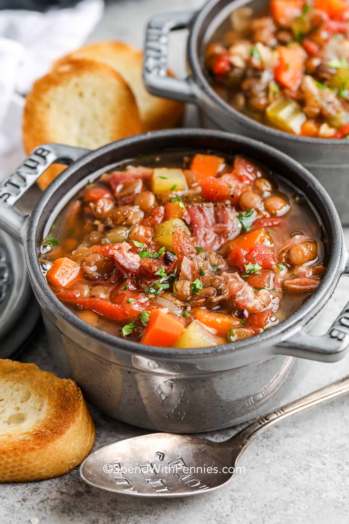 Crock Pot Ham and Lentil Soup