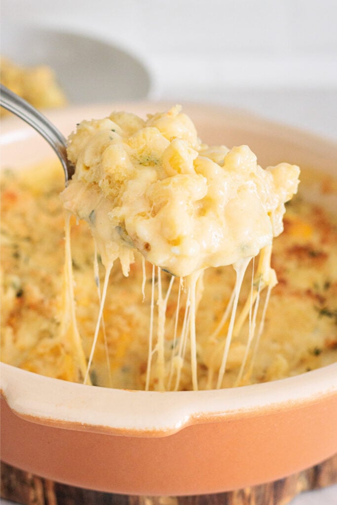 Creamy Baked Mac and Cheese