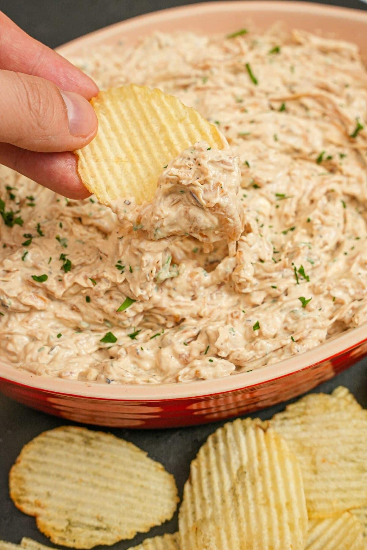 Caramelized Onion Dip